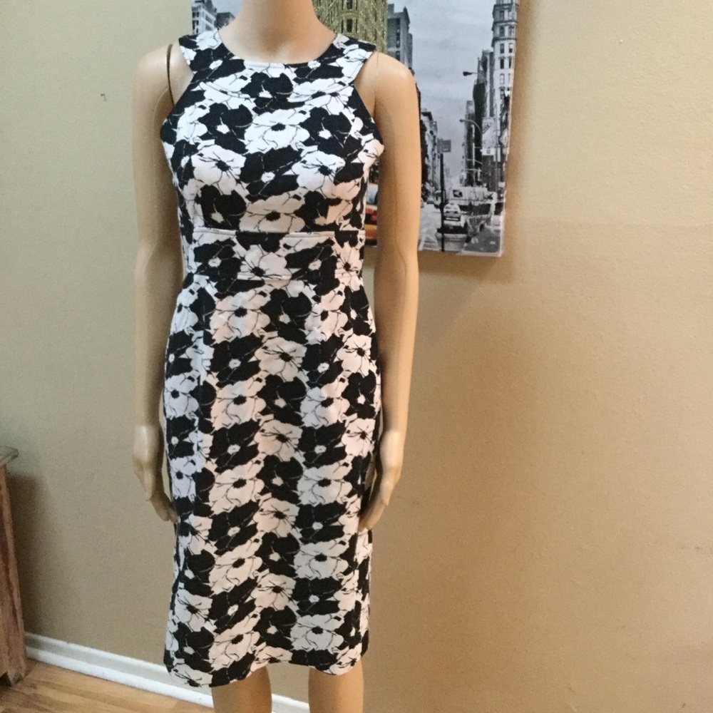 Adrianna Papell Black and White Floral Midi Sheath Dress